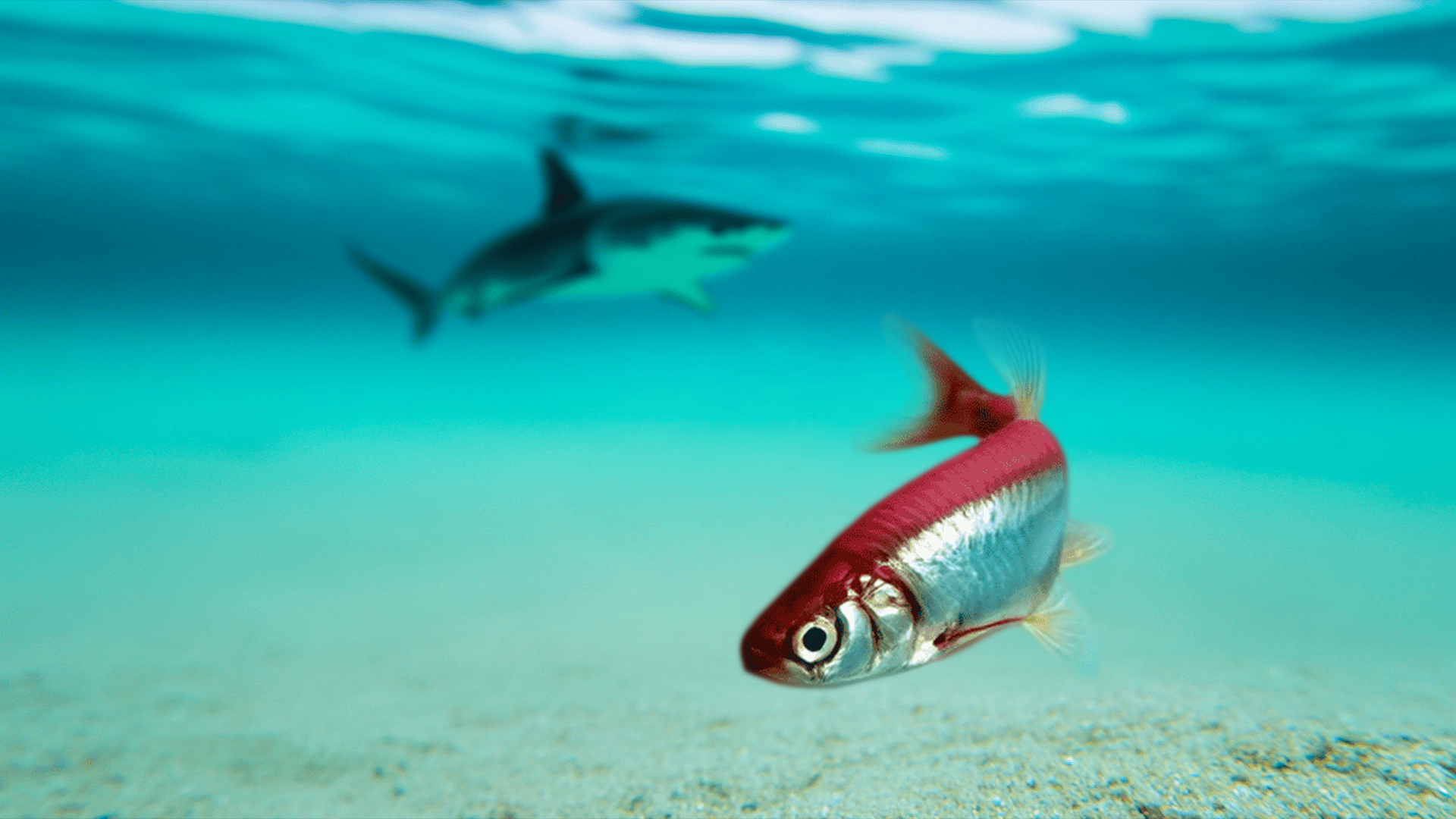 I beat two years of disabling pain without surgery or drugs