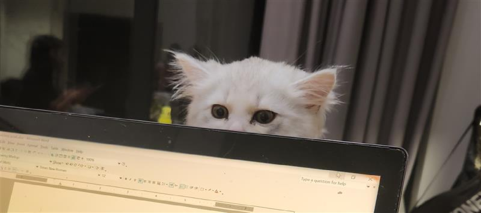 My perpetual curiosity can be your most valued asset!